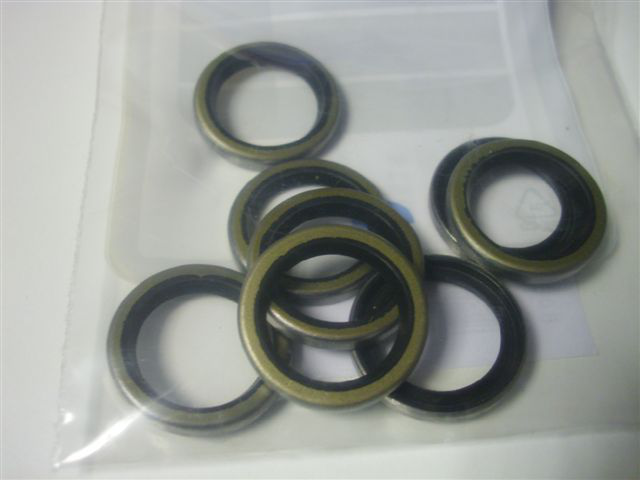 0999 230518 - DICHTRING