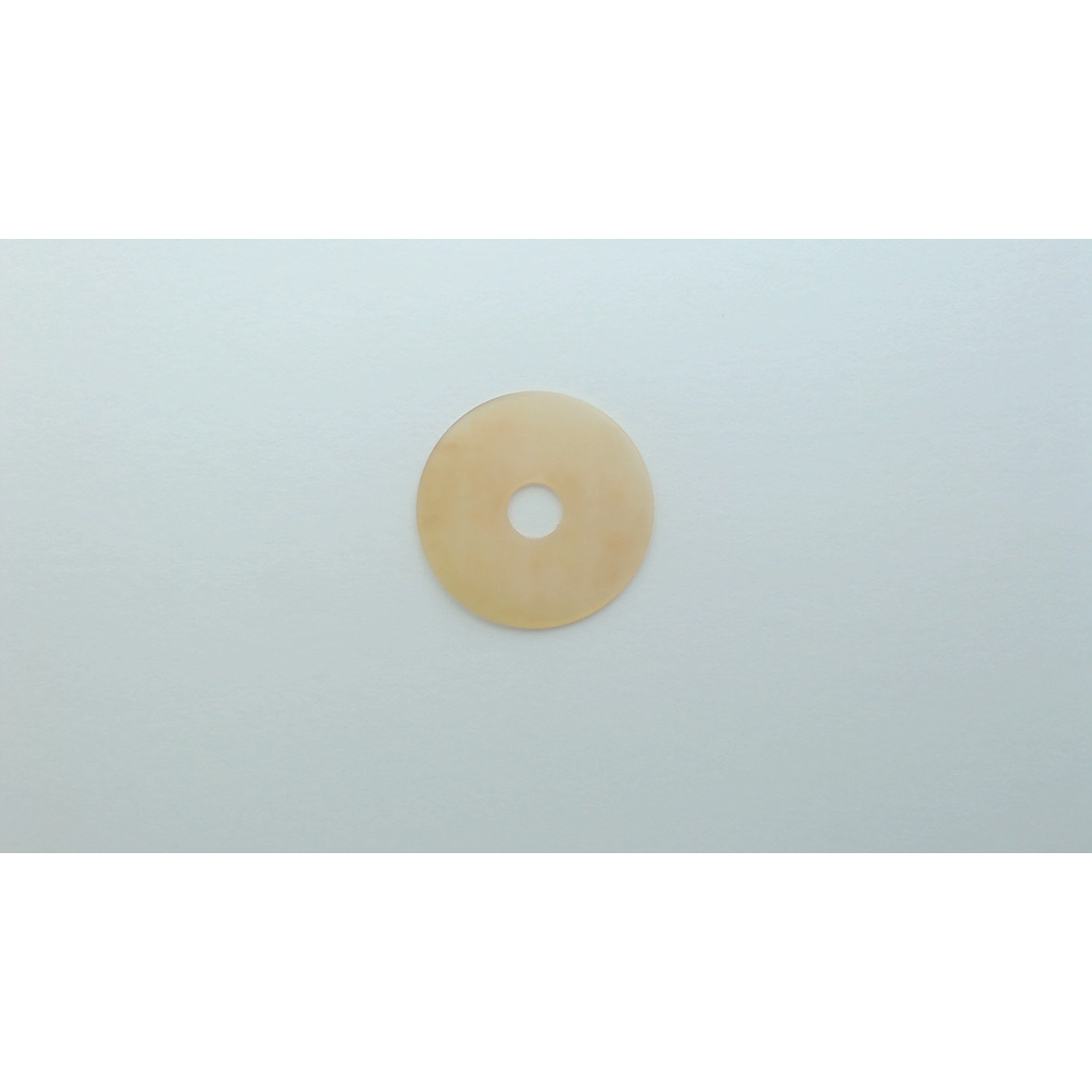 0667 115530 - SCHEIBE